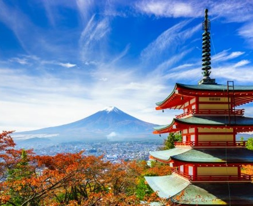 Investment Perspectives: Are you big in Japan?