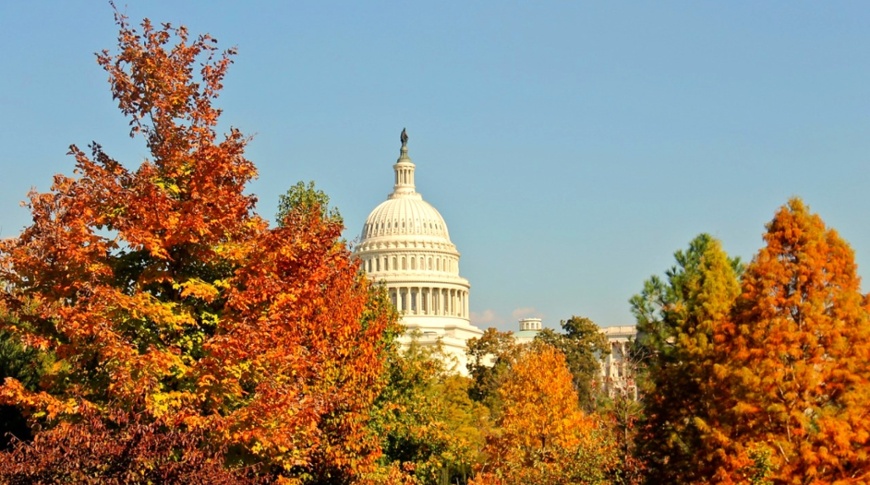 What's next for US small-caps following the election and rate cut?