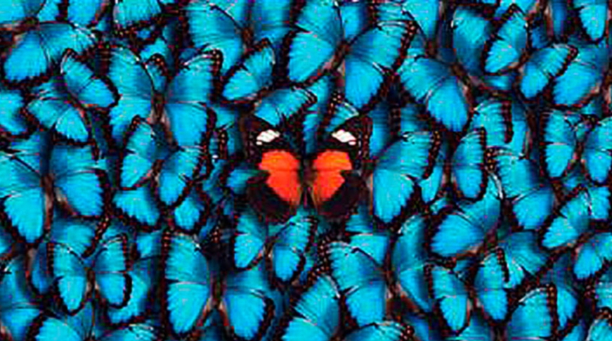 The Butterfly Effect in Global Markets